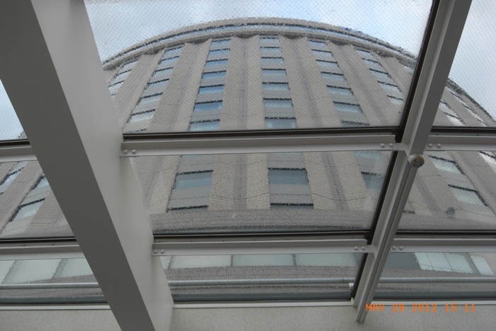 c0022340_22172388.jpg