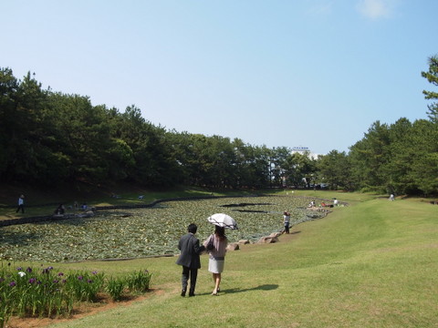 b0199742_20451538.jpg