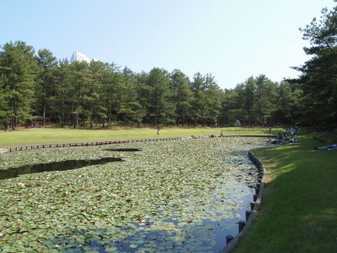b0199742_20453415.jpg