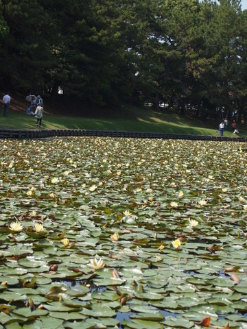 b0199742_20455715.jpg