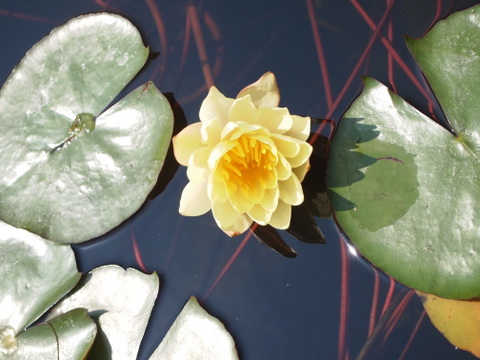 b0199742_2047014.jpg