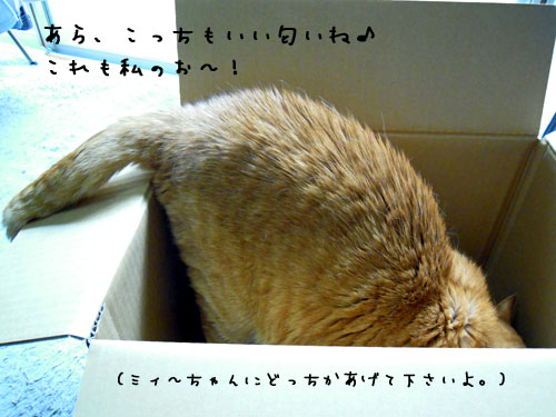 e0034047_15211131.jpg