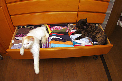 ȋȑqwy1rځzYouTube>8{ jRjR>1{ ->摜>1781 