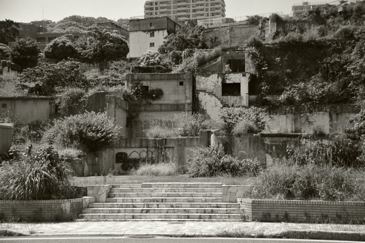 c0181552_515211.jpg