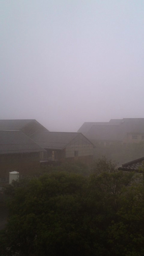 f0178153_1661343.jpg