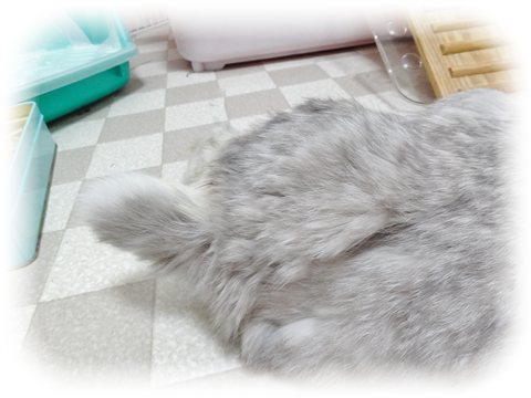 c0032257_10062.jpg