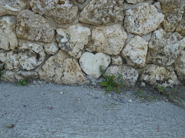 f0149057_11402919.jpg
