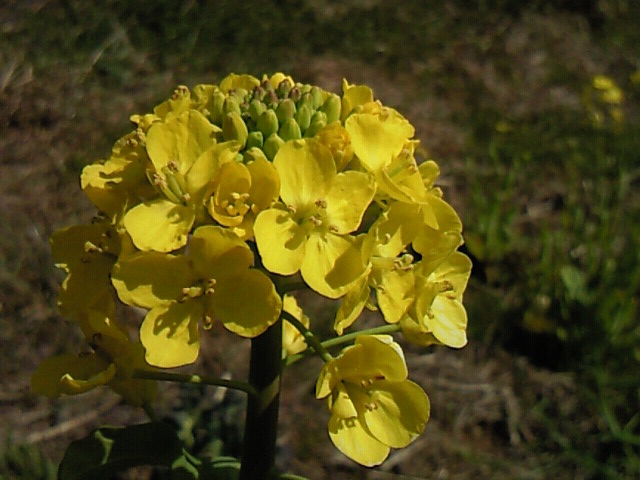 b0139862_19331577.jpg
