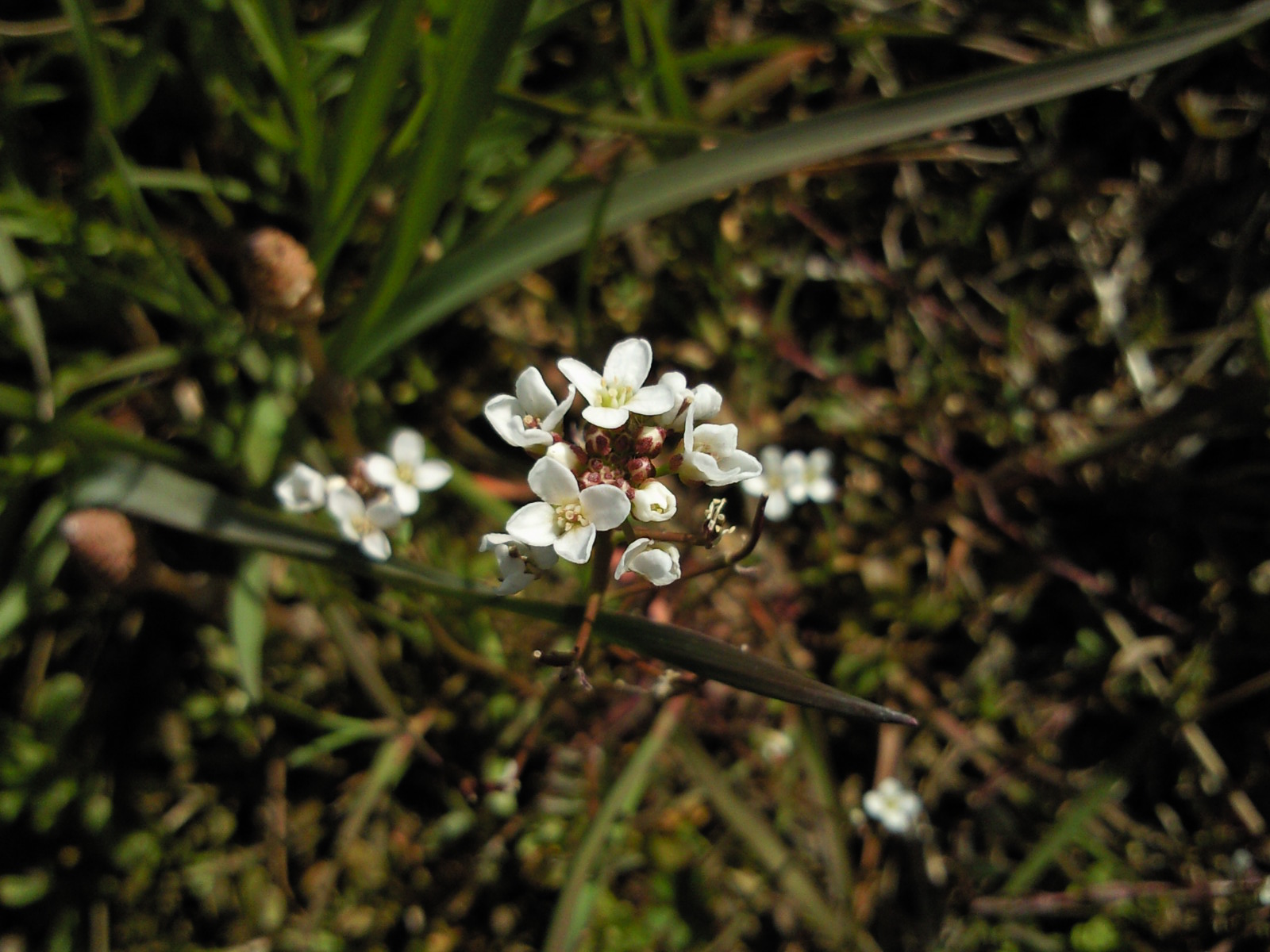 b0139862_202849.jpg
