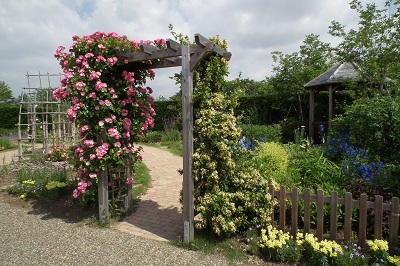 e0225164_1321204.jpg