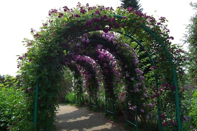 e0225164_13272040.jpg