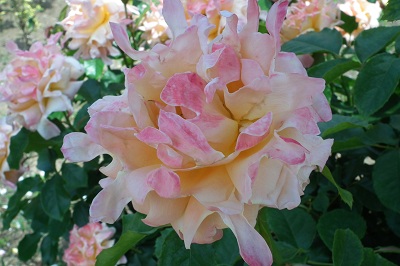 e0225164_13394317.jpg