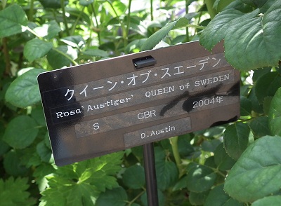 e0225164_1463741.jpg