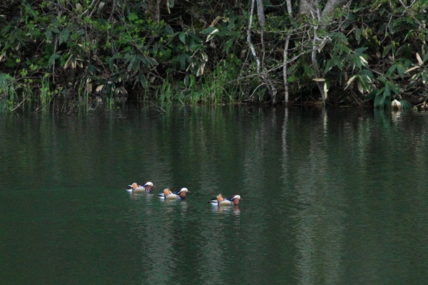 f0054366_14573797.jpg