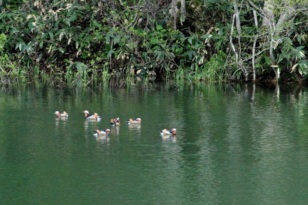 f0054366_1612455.jpg