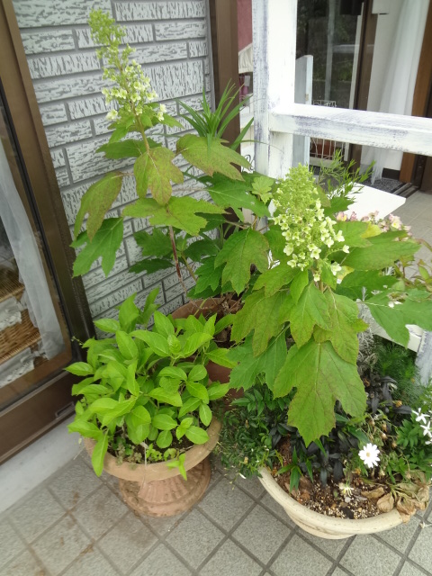 c0234169_1485154.jpg