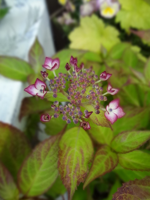 c0234169_1493461.jpg