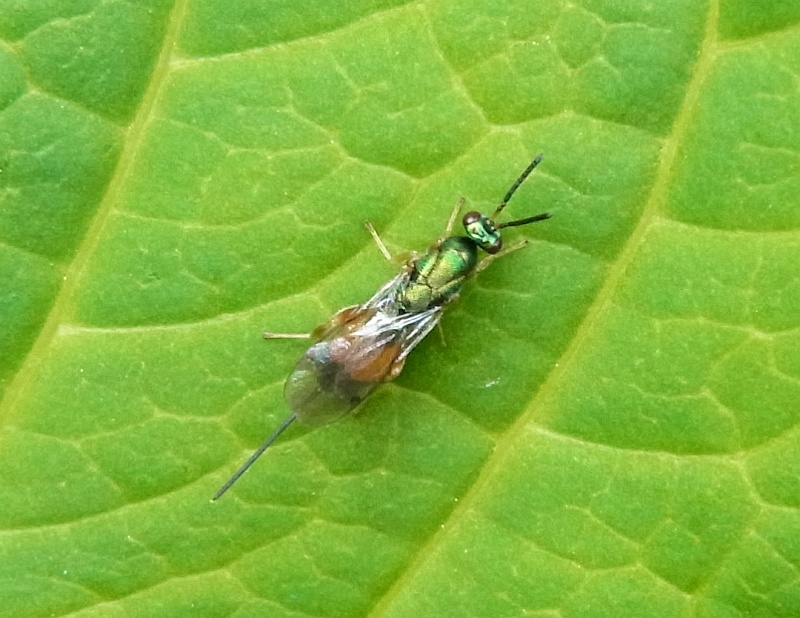 b0070071_9233145.jpg