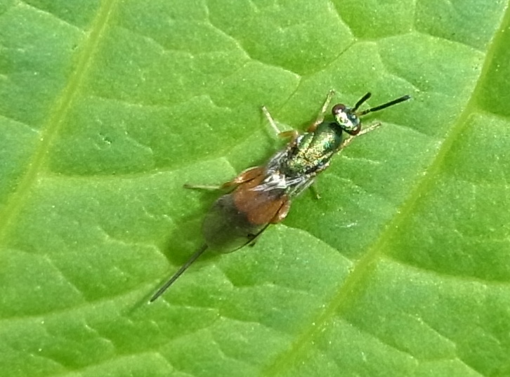 b0070071_9234535.jpg