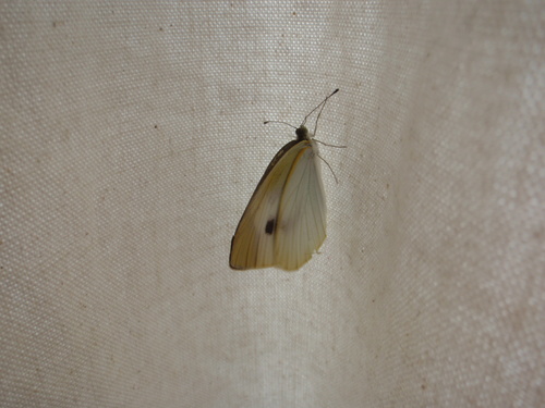f0224772_03994.jpg