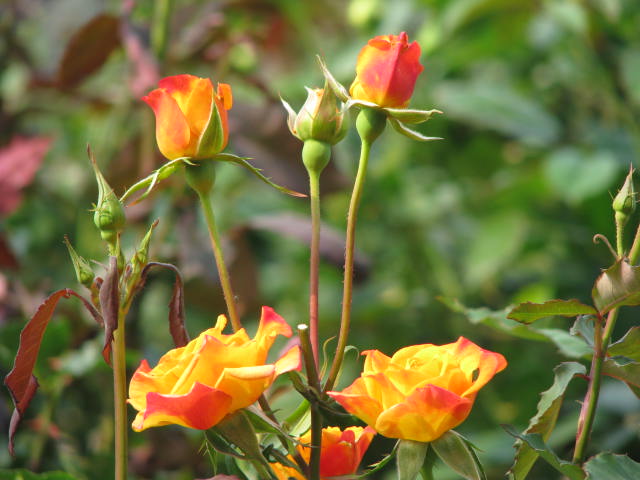 b0161073_23411645.jpg