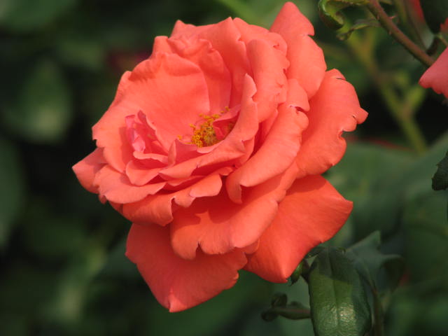 b0161073_23431887.jpg