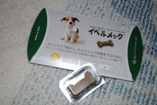 b0242873_1239100.jpg