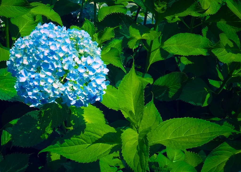 b0247073_221534100.jpg