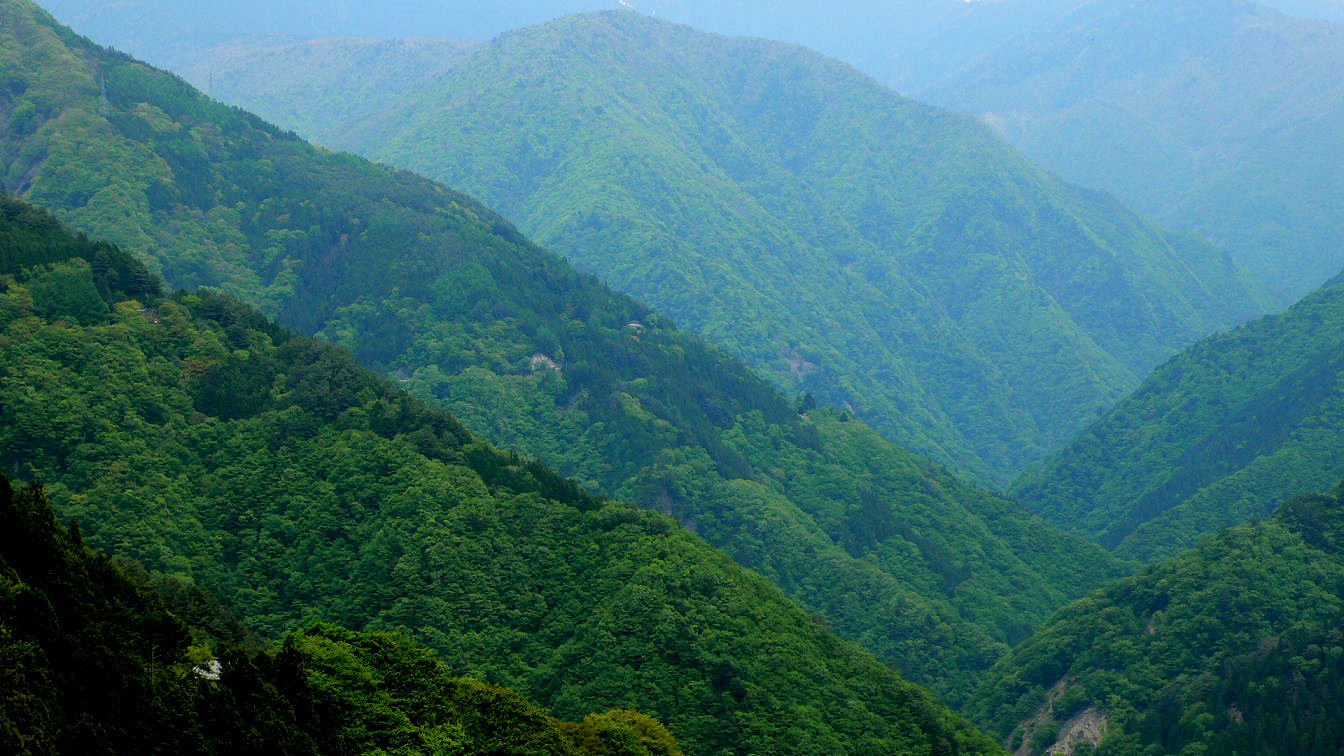 f0160179_221444100.jpg