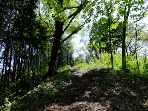a0043982_16435034.jpg
