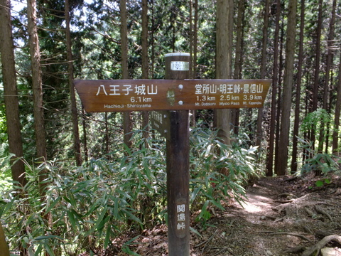 a0043982_16441752.jpg