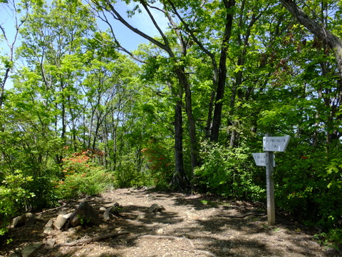 a0043982_16445425.jpg