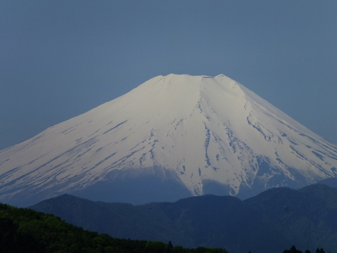 a0043982_1645425.jpg