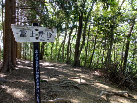 a0043982_16454982.jpg