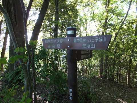 a0043982_1646830.jpg