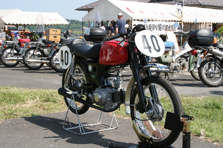 a0279883_622546.jpg