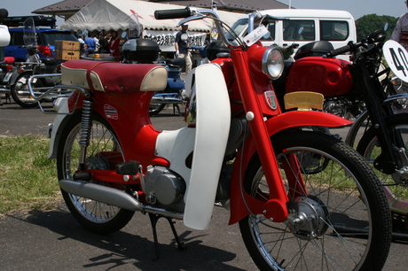 a0279883_624839.jpg