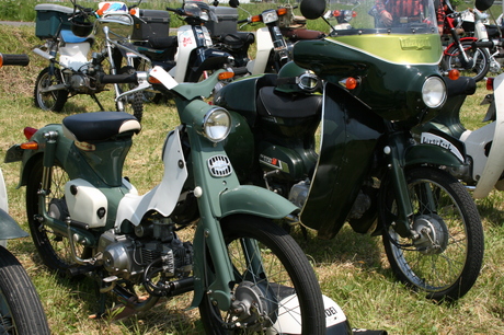 a0279883_6393457.jpg