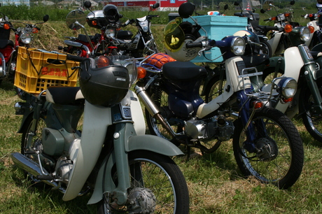 a0279883_639507.jpg
