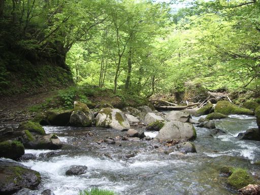 c0144683_9505985.jpg