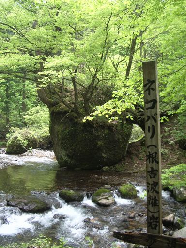 c0144683_95210100.jpg
