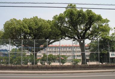 e0130185_1251947.jpg