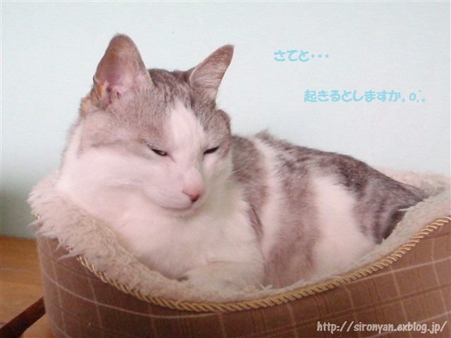 a0159490_13104724.jpg