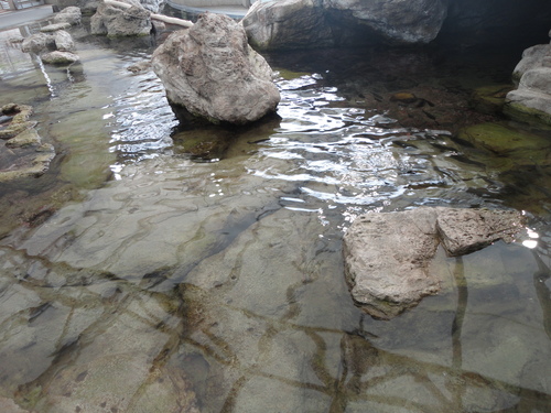 f0131491_14552276.jpg