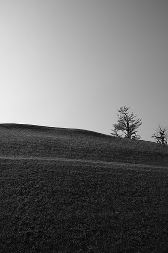 b0119493_062450.jpg