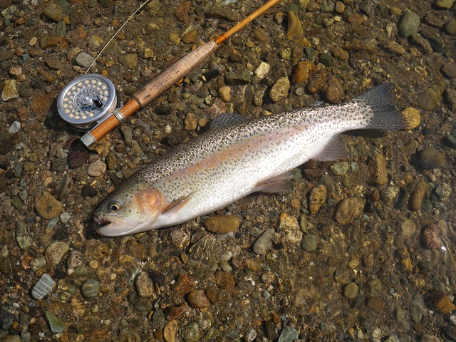 e0144195_8164547.jpg