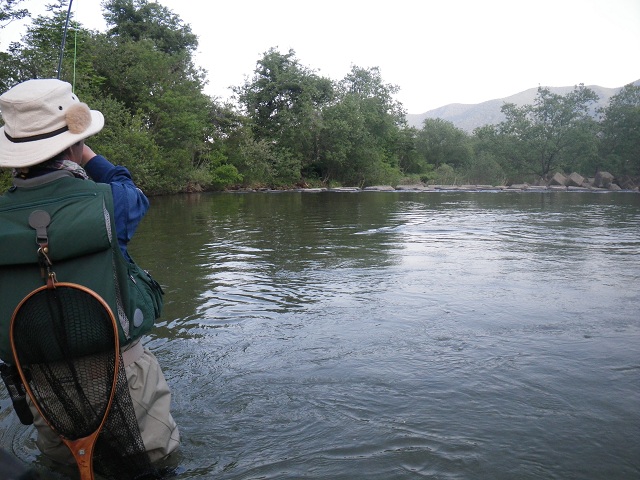 e0144195_822567.jpg