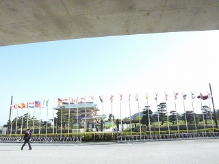 c0077697_22255980.jpg