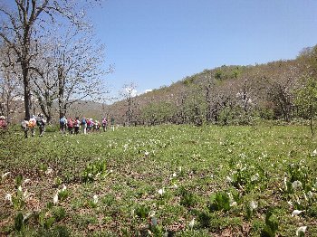 e0122199_23175232.jpg