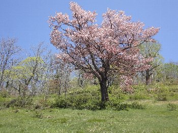 e0122199_2323305.jpg